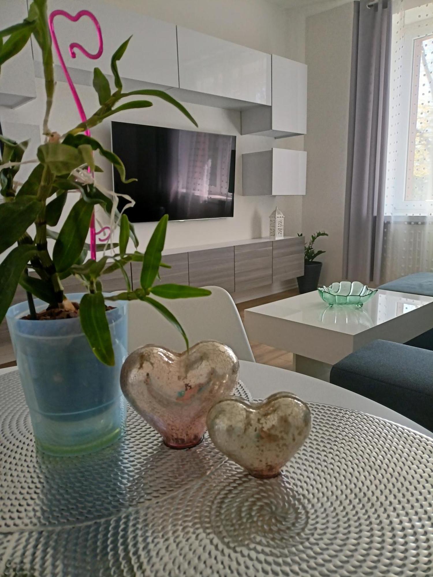 Apartament Slowackiego 41 Jelenia Góra Esterno foto